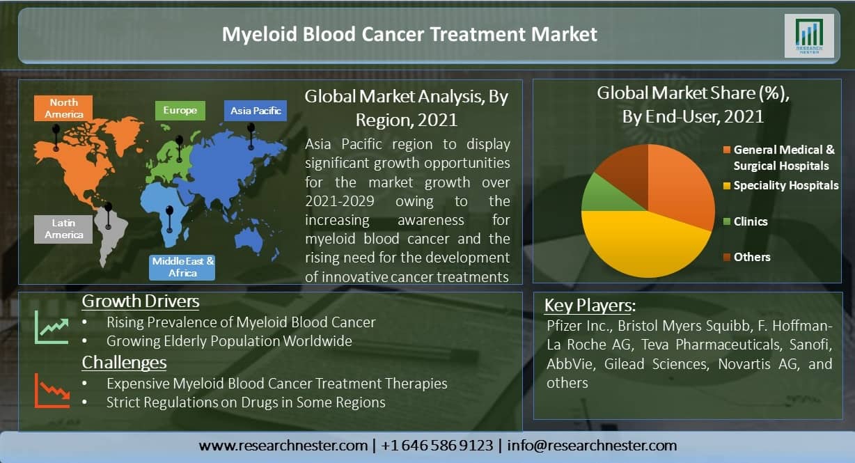 Myeloid Blood Cancer Treatment Market Overview